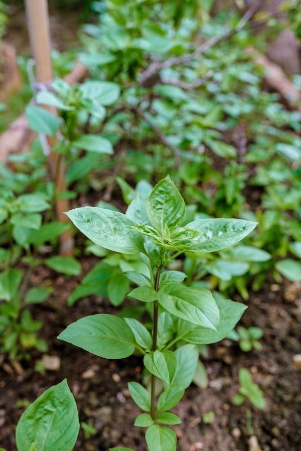 What Are the Unique Selling Points for Eco-Friendly Office Spaces in the UK's Tech Hubs?